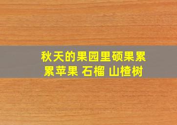 秋天的果园里硕果累累苹果 石榴 山楂树